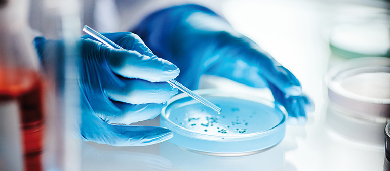Ley de Biotecnología de la Unión Europea