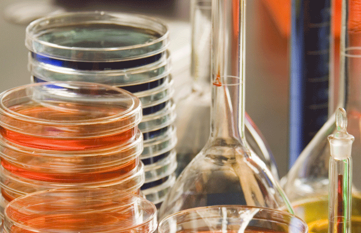 En los últimos diez años el número de empresas de biotecnología ha aumentado un 359%