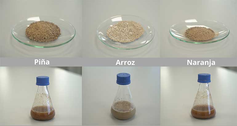 ITENE obtiene precursores de biopolímeros a partir de residuos de piña, arroz y naranja