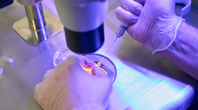 Lilly adquiere Orna Therapeutics y refuerza su apuesta por las terapias celulares