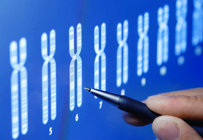 NIMGenetics está especializado en el desarrollo y aplicación de sistemas genómicos de alta resolución para diagnóstico clínico