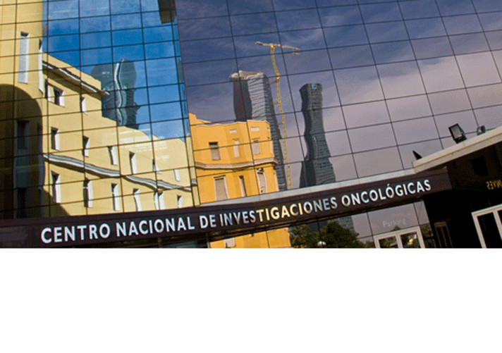 La Fundación AstraZeneca entregará el 24 de septiembre sus premios a jóvenes investigadores