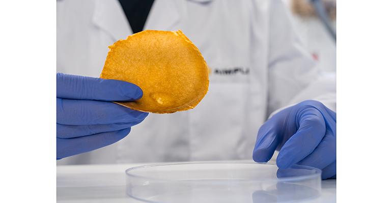 AIMPLAS impulsa VEGANCELIO para convertir residuos orgánicos en piel vegana y soluciones cosméticas