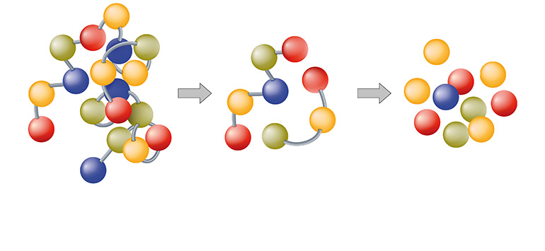 Péptidos bioactivos y su implicación en el tratamiento y diagnóstico de enfermedades y la vehiculización de fármacos