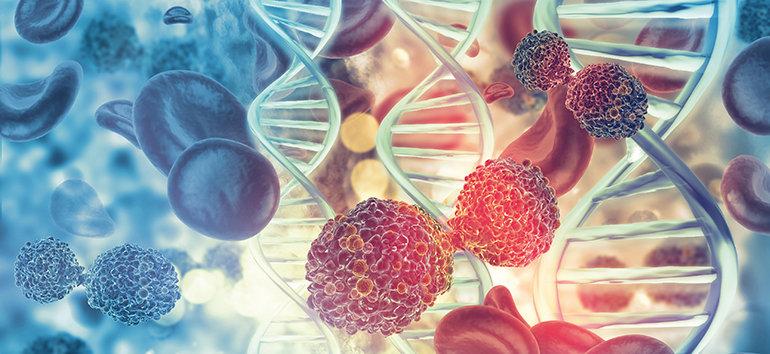 Transfección estable de células Vero E6 con el gen que codifica la proteína S de SARS-CoV-2