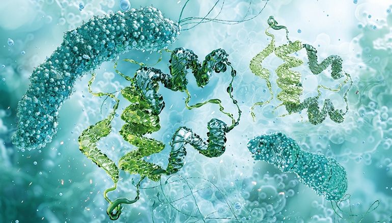 Bacterias Modificadas Genéticamente (BMG)