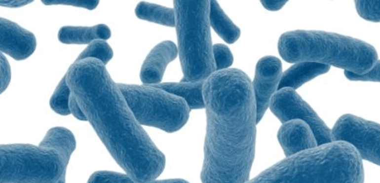 Probióticos de Biopolis contra la dermatitis atópica