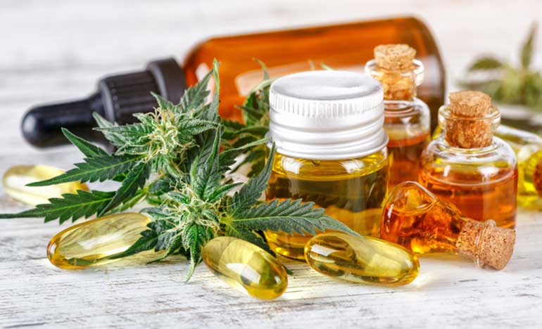 Sanidad inicia el trámite para regular el cannabis medicinal