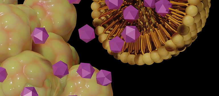 Elaboración de liposomas  con técnicas de microfluídica