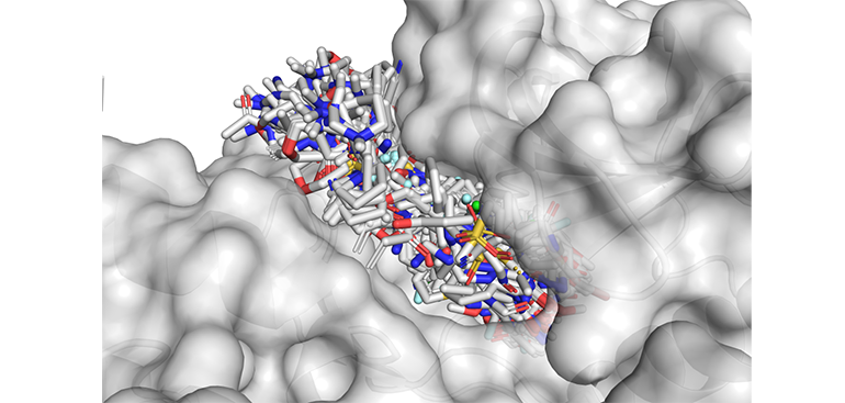 -iibb-csic-chemotargets-avanzan-en-diseno-computacional-farmacos-contra-cancer