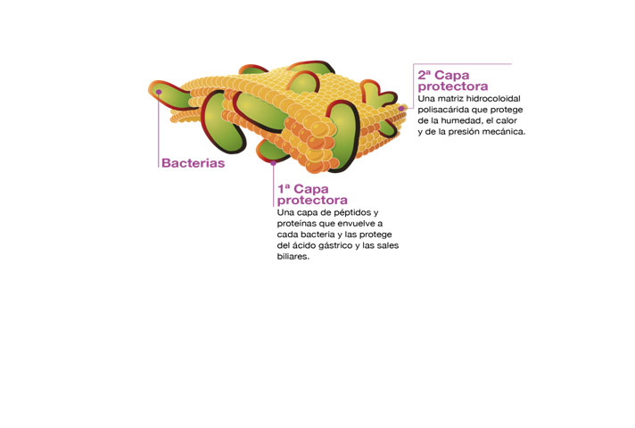 Chiesi presenta la tecnología de doble protección aplicada a los probióticos