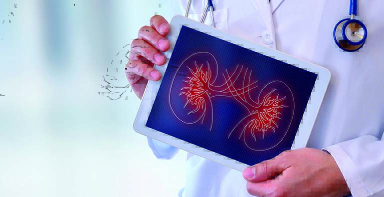 La biotecnología avanza en desarrollo de terapias clave en  enfermedades renales 