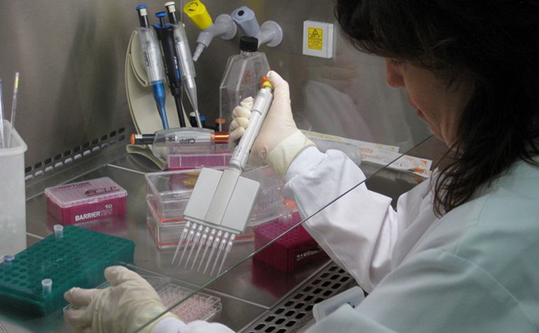 AINIA investiga la aplicación de bacteriófagos como sustitutos de antibióticos