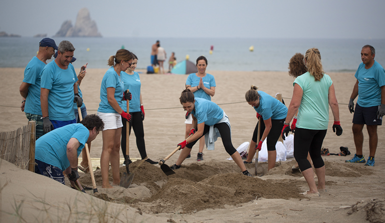 Trabajadores de Ferrer participan en tareas de recuperación de las dunas del Parque Natural del Montgrí