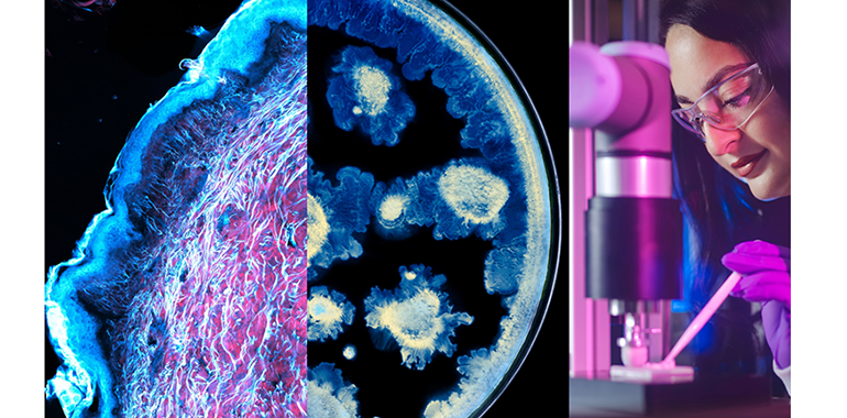 loreal-instituto-pasteur-sellan-una-alianza-estrategica-avanzar-en-ciencia-piel