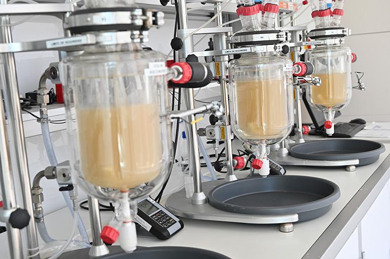 Plataforma digital para la personalización terapéutica