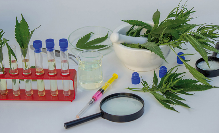 Aspectos legales del uso medicinal de preparados de cannabis en la Unión Europea