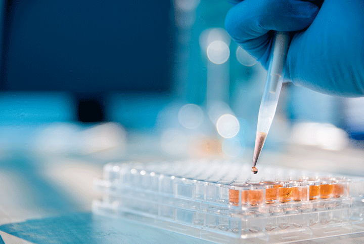Possible applications of the Slug Mucosal Irritation assay
