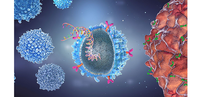 Lilly acelera la innovación en CAR-T in vivo con la adquisición de Kelonia Therapeutics