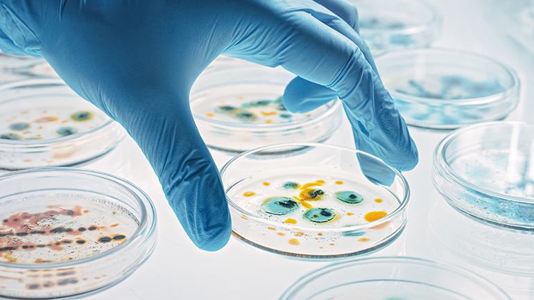 Formación y cualificación de personal en laboratorios de microbiología farmacéutica