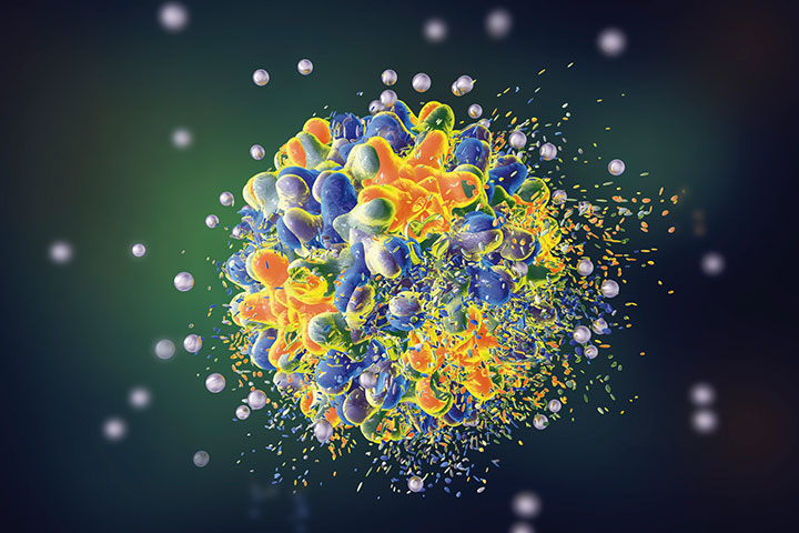 Nanopartículas y biopcápsulas con probióticos de origen animal