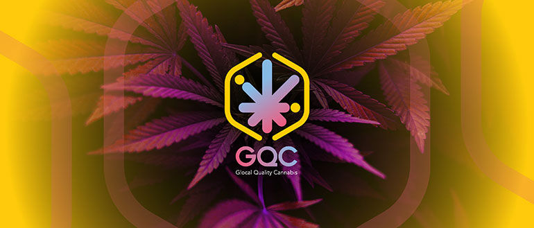 Nace GQC, start-up federada por PQE Group para dar soporte al cannabis medicinal