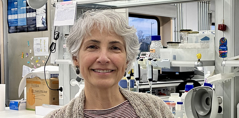 ¿La clave de la juventud? Un fármaco común para el colesterol logra frenar el paso del tiempo en el laboratorio