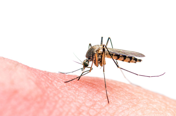 Elsevier crea una herramienta digital para informar sobre el virus Zika